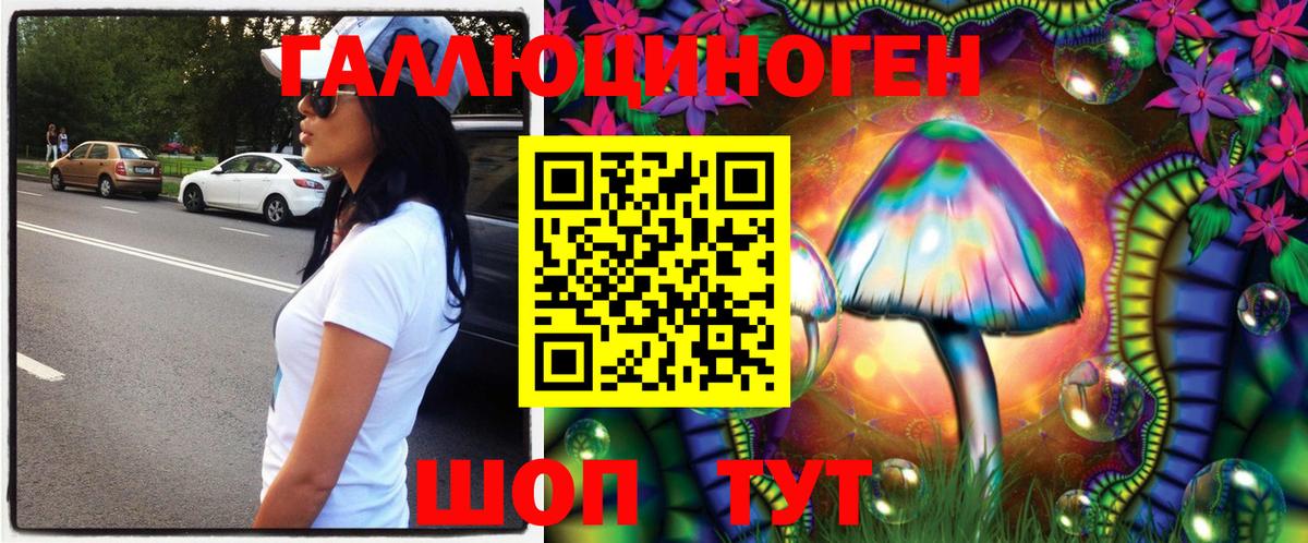 Псилоцибиновые грибы Cubensis Славянск-на-Кубани