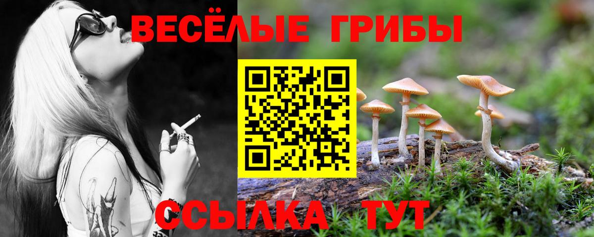 Псилоцибиновые грибы прущие грибы  Вход с VPN  Славянск-на-Кубани 